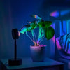 Vistara Sunset LED Table Lamp<br><b style="color: #03236a;">2-134</b>