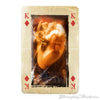 Harry Potter Waddingtons Playing Cards<br><b style="color: #03236a;">6-708</b><br><b style="color: #03236a;">RRP $9.99</b>