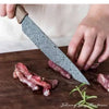 6 Pcs Knife Set, Made of High Quality Stainless Steel <br><b style="color: #03236a;">0-33</b><br><b style="color: #03236a;">RRP $59.99</b>