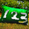 Sequin Reversible Magical Pillow Cover Dinosaurs Discover Green & Silver<br><b style="color: #03236a;">JBAU1461</b><br><b style="color: #03236a;">RRP $49.95</b>