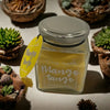 Cosy Nights Soy Candle<br><b style="color: #03236a;">JBAU1076</b><br><b style="color: #03236a;">Mango Tango</b>