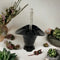Elegant Black Glass Vase with Handle<br><b style="color: #03236a;">JBAU1175</b><br><b style="color: #03236a;">Comes in a Box</b>