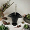 Elegant Black Glass Vase with Handle<br><b style="color: #03236a;">JBAU1173</b><br><b style="color: #03236a;">Comes in a Box</b>