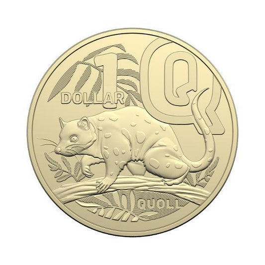 2022 $1 "Q" Great Australian Coin Hunt Uncirculated<br><b style="color: #03236a;">2-184</b><br><b style="color: #03236a;">Q For Quoll</b>