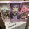 3 x Beautiful Dramatic Diffusers  <br><Br><b style="color: #03236a;">RRP $89.95</b>