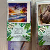 4 x Square Drill Diamond Art 30x30<br><Br><b style="color: #03236a;">RRP $79.80</b>