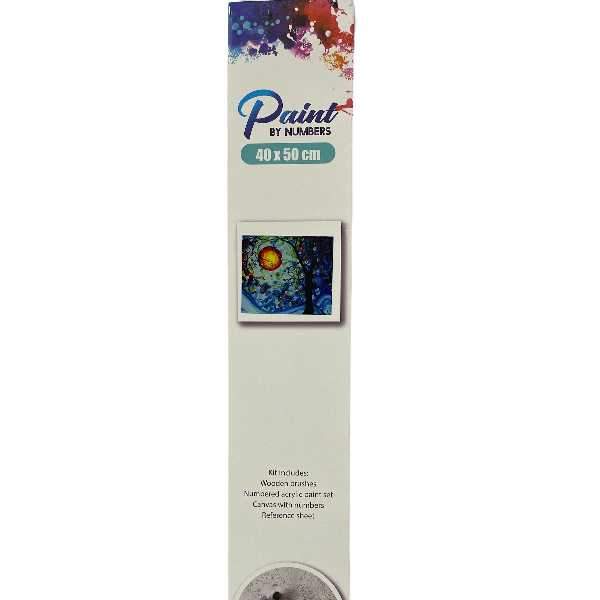 Paint By Number Kit 40x50 <br><Br><b style="color: #03236a;">RRP $29.95</b>