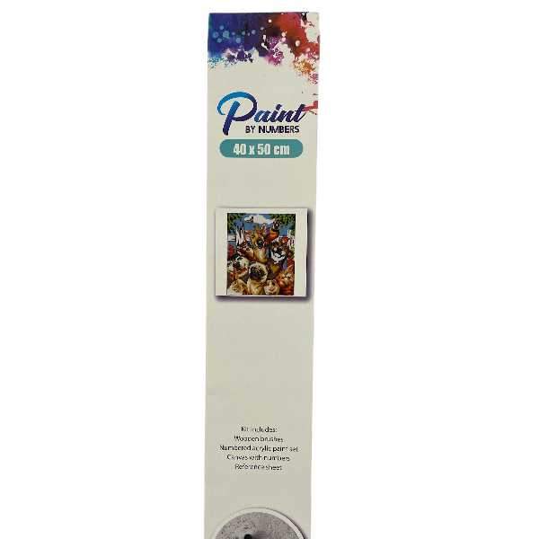 Paint By Number Kit 40x50<br><Br><b style="color: #03236a;">RRP $29.95</b>