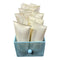 Bulk Lot of 12 x Sojourn Scolphny Taffy<br><Br><b style="color: #03236a;">RRP $240.00</b>