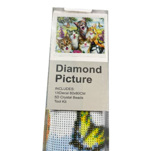 Large Diamond Art Full Drill Square 80x60<br><Br><b style="color: #03236a;">RRP $89.95</b>