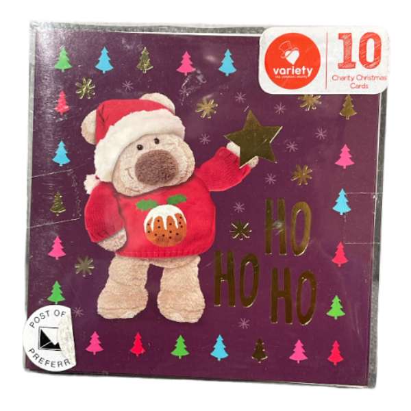 10 x Christmas Cards<br><Br><b style="color: #03236b;">RRP $12.99</b>