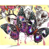 Paint By Number Kit 40x50<br><Br><b style="color: #03236b;">RRP $29.95</b>