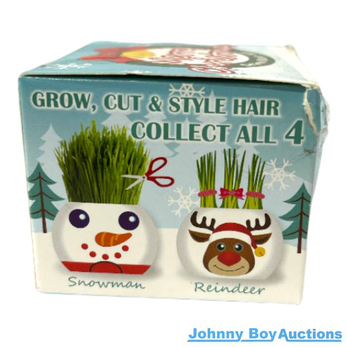 Santa Claus Grass Hair Kit<br><Br><b style="color: #03236b;">Great Christmas Gift</b>