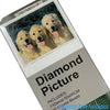 Diamond Art Full Drill 50x65<br><Br><b style="color: #03236a;">RRP $49.99</b>