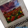 Diamond Art Full Drill 30x30<br><br><b style="color: #03236b;">Tulip Farm</b>