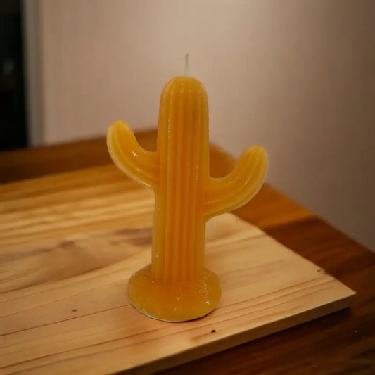 Cactus Candle Orange Size A4<br><b style="color: #03236a;">JBAU1625</b><br><b style="color: #03236a;">Size 200mm</b>